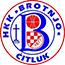 team-logo