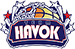 team-logo