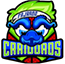 team-logo