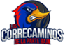 team-logo
