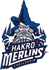 team-logo