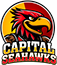 team-logo
