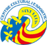 team-logo