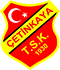team-logo