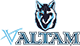 team-logo