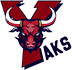 team-logo