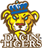 team-logo