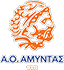 team-logo