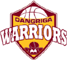 team-logo