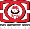 team-logo