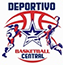team-logo