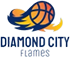 team-logo