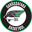 team-logo