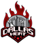 team-logo