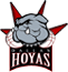 team-logo