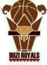 team-logo