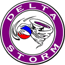 team-logo