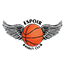 team-logo