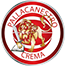 team-logo