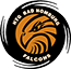 team-logo