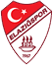 team-logo