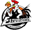 team-logo