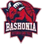team-logo
