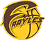 team-logo