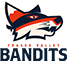 team-logo team-logo