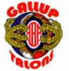 team-logo