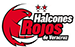 team-logo