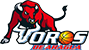 team-logo