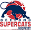 team-logo