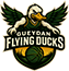 team-logo