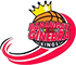 team-logo2