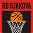 team-logo