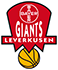 team-logo
