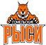 team-logo