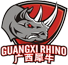 team-logo