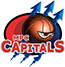 team-logo