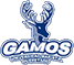 team-logo