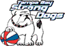 team-logo