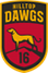 team-logo