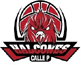 team-logo