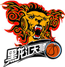 team-logo