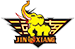 team-logo
