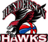 team-logo