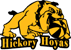 team-logo
