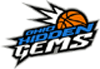 team-logo