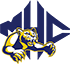 team-logo